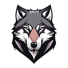 Obraz premium head of a wolf