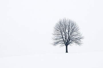 Fototapeta premium Lone tree in snowy landscape, serene and peaceful. Perfect for winter themes with space for text or graphics. Evokes solitude and calm contemplation