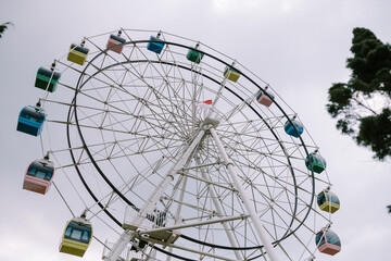 A tree cage and Ferris wheel with a backdrop of slightly cloudy skies,
