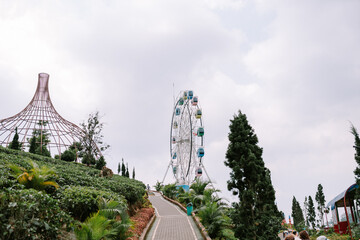 A tree cage and Ferris wheel with a backdrop of slightly cloudy skies,