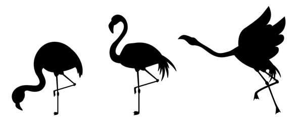 flamingo silhouette