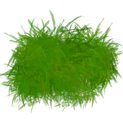 Lush Green Grass Clump Texture Vibrant green grass