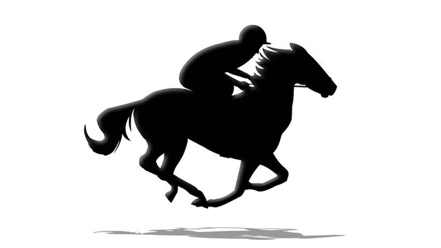 Horse rider animation video silhouette