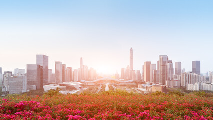 Shenzhen Central Axis City Scenery