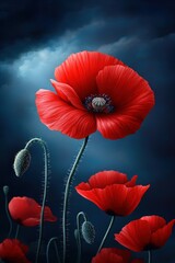 Vibrant red poppy flowers against a dramatic dark background.