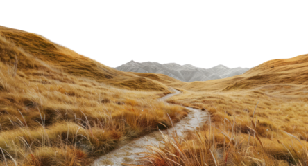 PNG Golden hills with winding path