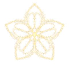 Sunlit Aster Golden Star Flower Illustration
