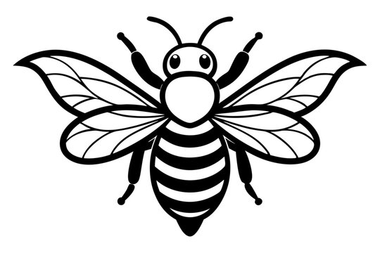 recommend clip art: Bee vector line art illustration