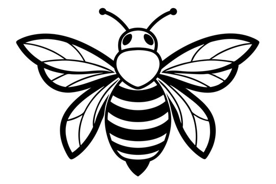 recommend clip art: Bee vector line art illustration