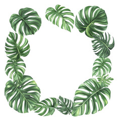 PNG Monstera leaves in a border design