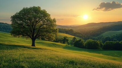 Obraz premium Serene sunset over rolling hills with a solitary tree.