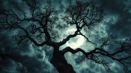 An ancient tree with gnarled branches silhouetted against a cloudy, moonlit sky, creating a spooky backdrop