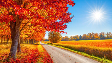 Fototapeta premium Vibrant autumn landscape with colorful red and orange foliage, a winding road, and sunny blue skies in a rural setting