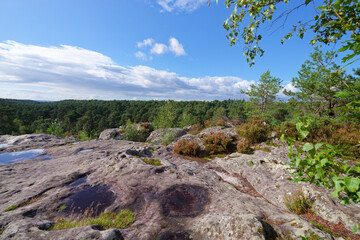 Marie Stuart point of view in the Franchard Gorges. Fontainebleau forest