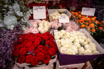 Colorful Flower Market on a Pedestrian Street - Roses 3