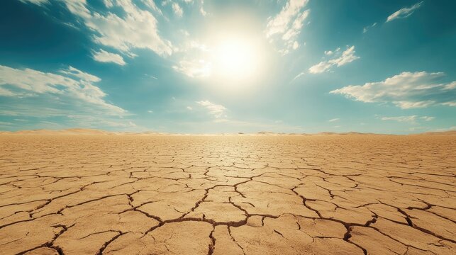 A barren desert landscape with dry, cracked earth under the intense summer sun, with no vegetation in sight.