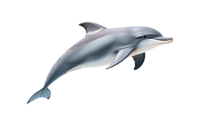 Fototapeta premium Dolphin isolated on transparent background 