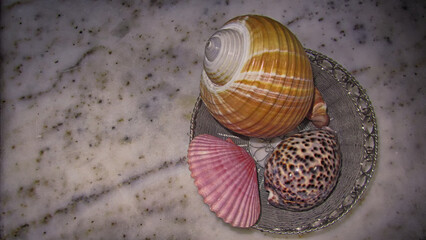 seashells in a silver plate on a marble surface