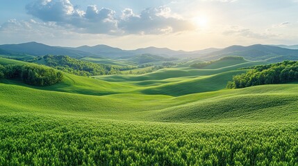 Fototapeta premium Lush green hills under a bright sky at sunset.