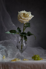 White roses in a glass vase on a dark background