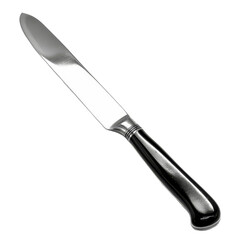 Fototapeta premium Stainless Steel Kitchen Knife with Black Handle for Food Preparation