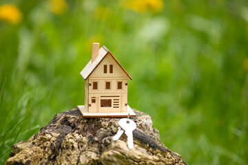 Model house and keys in the meadow with grass