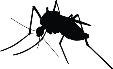 Mosquito icon, insects icon, home insect, malaria awareness