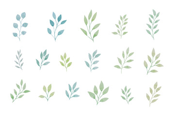 Assortment of watercolor leaves illustration set - green leaf branches collection for wedding, greetings, stationary, wallpapers, fashion, background. olive, green leaves, Eucalyptus etc