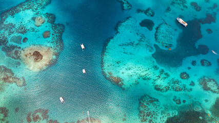 coral reef in the blue sea