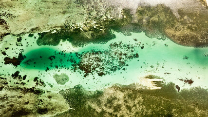 Obraz premium coral reef in aquarium