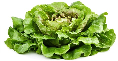 Isolated green lettuce on a white background
