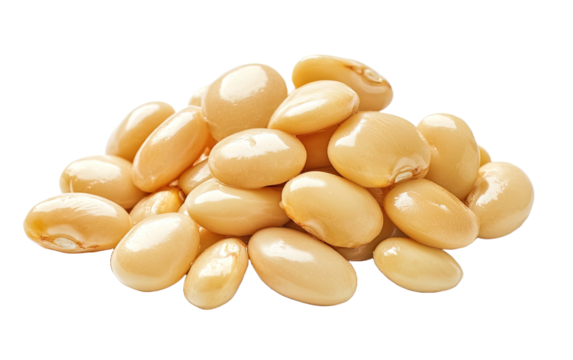 Butter Beans isolated on white or transparent background
