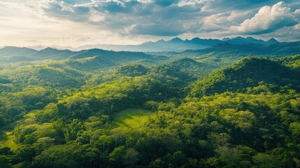 Obraz premium A stunning aerial shot of a lush forest covering rolling hills, leading up to a range of majestic mountains in the distance.