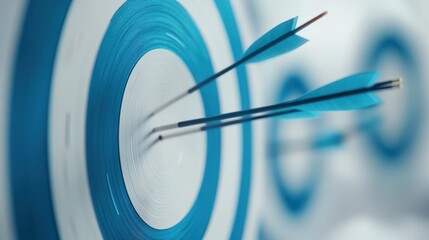 The Target With Arrow Hits