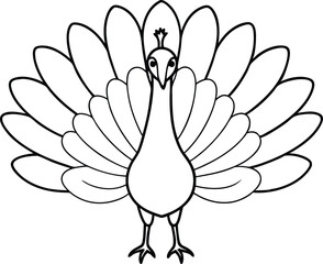 Beautiful Peacock Feathers Spread Vector Drawing for Kids Creative Coloring
