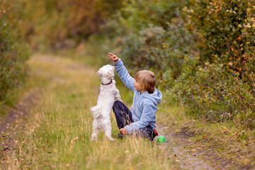 Fototapeta premium Cute little blond child, boy, training his little pet dog to obey orders, playing with him outdoors