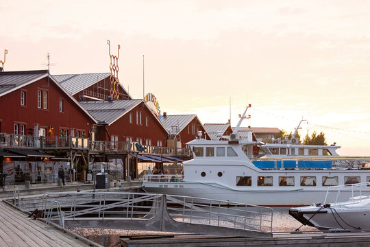 Family with children and pet dog, visiting nortern cities in Sweden, Lulea