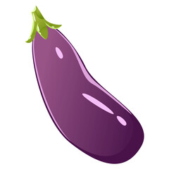 Eggplant for farm market, vegetarian salad recipe design. Fresh Eggplant. Vegetable. Isolated icon. Vector illustration isolated on a white background.