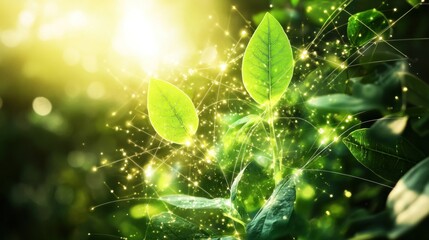 A scientific illustration of photosynthesis, showing energy flow from sunlight into a plant, with light particles converting into chemical energy
