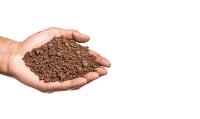 Hand holding brown soil, symbolizing fertility and agriculture isolate on transparent background, cutout, png