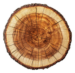 PNG Aged wooden log cross-section patterns