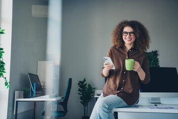Photo of cheerful positive charming woman curly hair wear brown shirt hold modern device office...