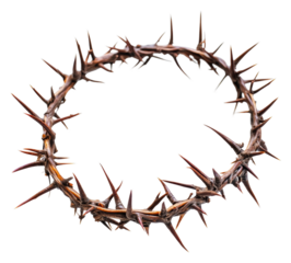 PNG Close-up of a thorn crown on white