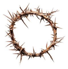 Fototapeta premium PNG Thorny crown placed on a white background