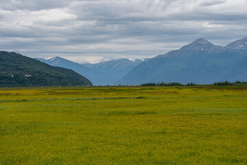 Fototapeta premium Panoramic view of green valley of native grass and mountains in Anchorage, Alaska landscape