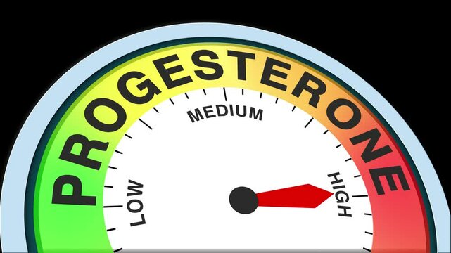 Progesterone Level Text or Word Low and Medium to High Meter Concept Animation on Black Background and Blue Screen