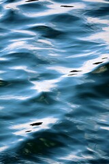waves on the water