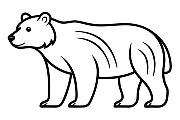 A bear vector line art illustration