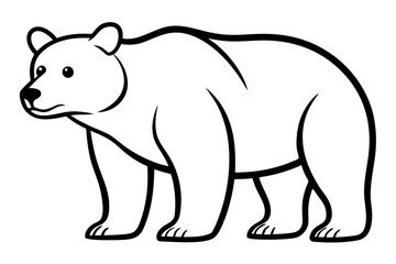 A bear vector line art illustration