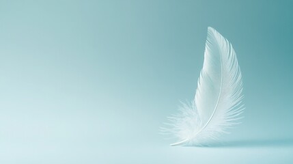 Obraz premium Photograph of a single white feather against an isolated pale blue background. 